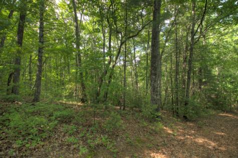 0 Menagerie Ridge Epworth GA 30541