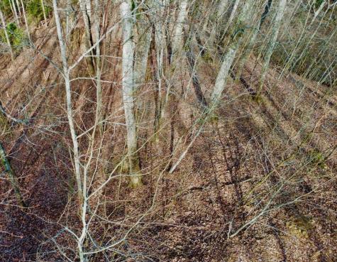 120 Croft Mountain Road Blairsville GA 30512