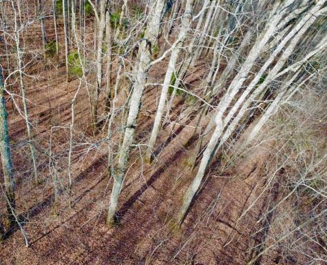 120 Croft Mountain Road Blairsville GA 30512