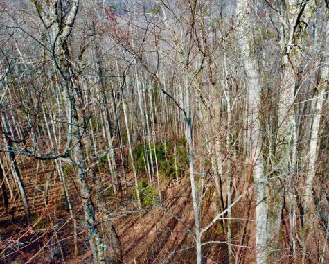 120 Croft Mountain Road Blairsville GA 30512