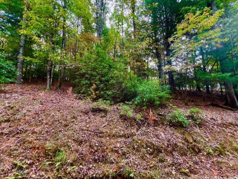 548 North Satsuma Court Ellijay GA 30540