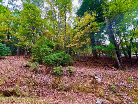 548 North Satsuma Court Ellijay GA 30540