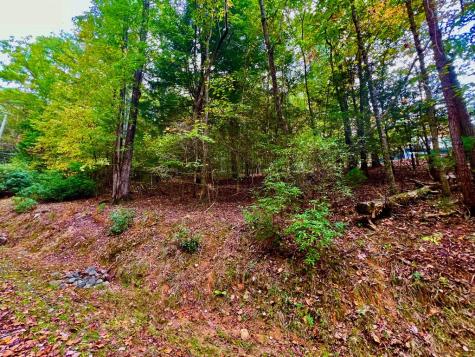 548 North Satsuma Court Ellijay GA 30540