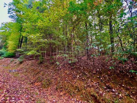 548 North Satsuma Court Ellijay GA 30540