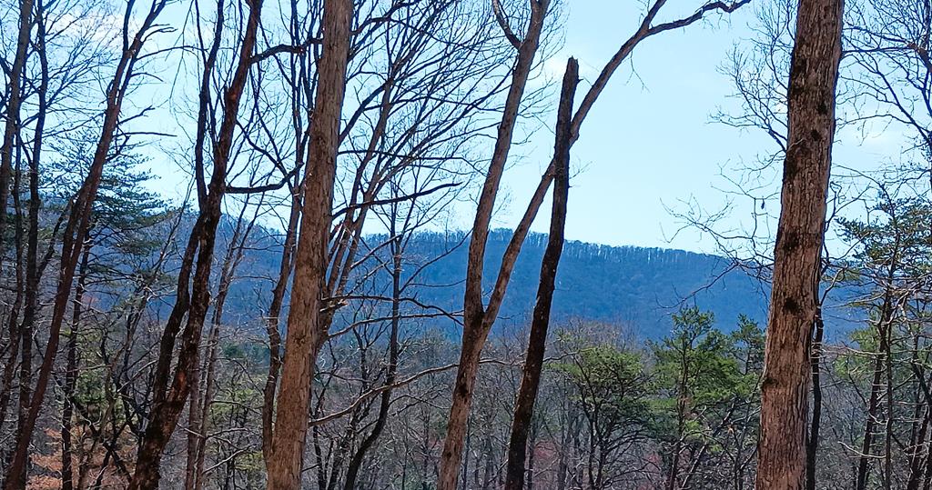 Lot 1a Colbert Mountain Road Blue Ridge GA 30513