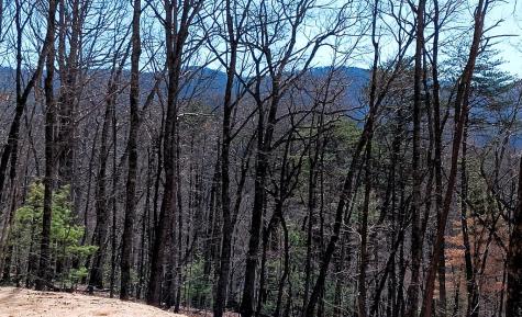 Lot 1a Colbert Mountain Road Blue Ridge GA 30513