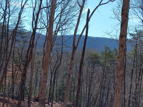 Lot 1a Colbert Mountain Road Blue Ridge GA 30513