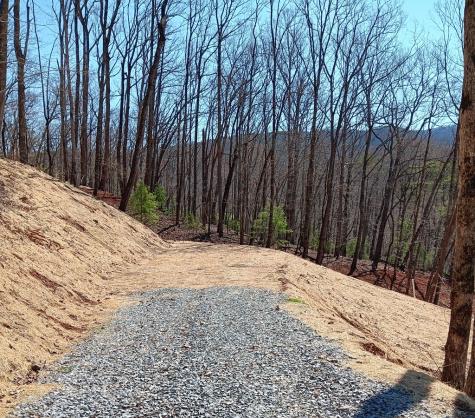 Lot 1a Colbert Mountain Road Blue Ridge GA 30513