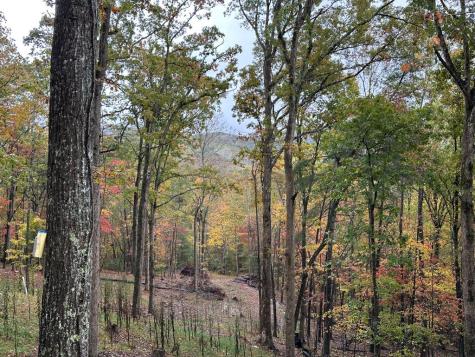 Lot 1a Colbert Mountain Road Blue Ridge GA 30513