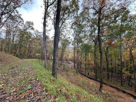 Lot 1a Colbert Mountain Road Blue Ridge GA 30513