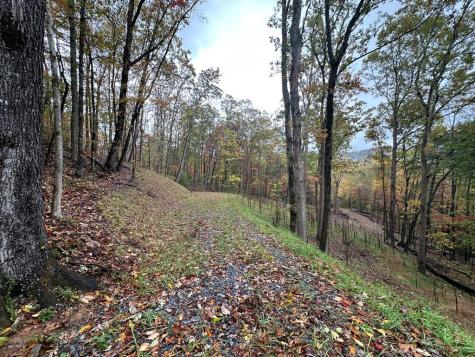 Lot 1a Colbert Mountain Road Blue Ridge GA 30513