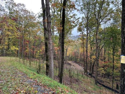 Lot 1a Colbert Mountain Road Blue Ridge GA 30513