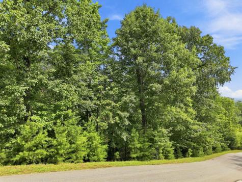 Lot 22 Deer Crest Road Blue Ridge GA 30513