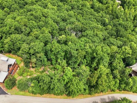 Lot 22 Deer Crest Road Blue Ridge GA 30513