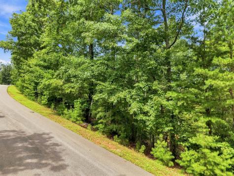 Lot 22 Deer Crest Road Blue Ridge GA 30513