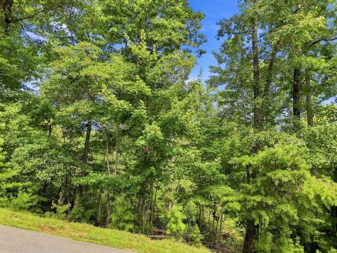 Lot 22 Deer Crest Road Blue Ridge GA 30513