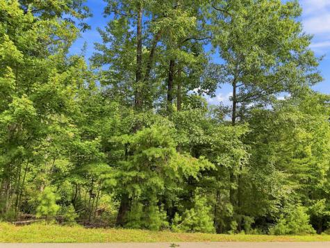 Lot 22 Deer Crest Road Blue Ridge GA 30513