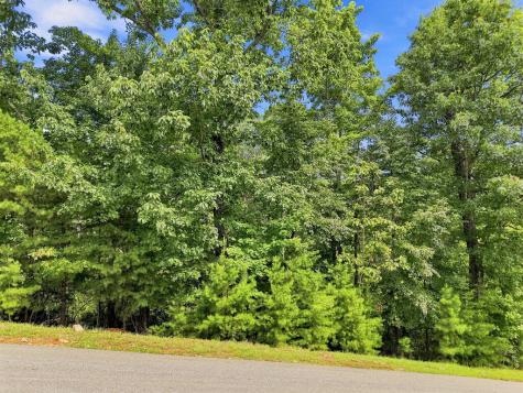 Lot 22 Deer Crest Road Blue Ridge GA 30513