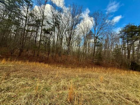0 Cedar Springs Road Turtletown TN 37391