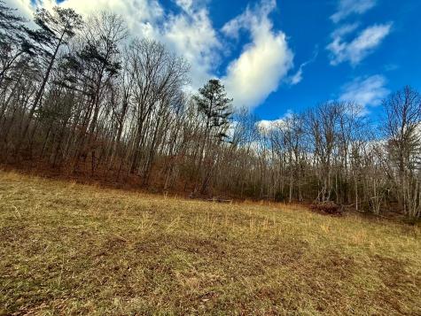 0 Cedar Springs Road Turtletown TN 37391