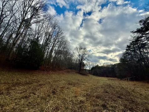0 Cedar Springs Road Turtletown TN 37391