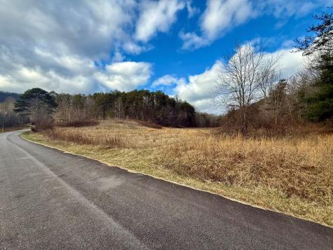 0 Cedar Springs Road Turtletown TN 37391