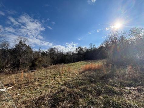 22 Old Bullen Gap Road Blue Ridge GA 30513