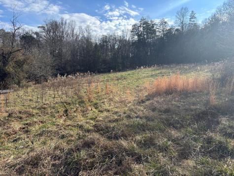 22 Old Bullen Gap Road Blue Ridge GA 30513