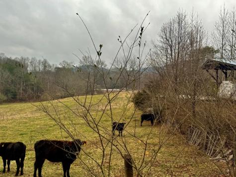 0 Highway 68 Turtletown TN 37391