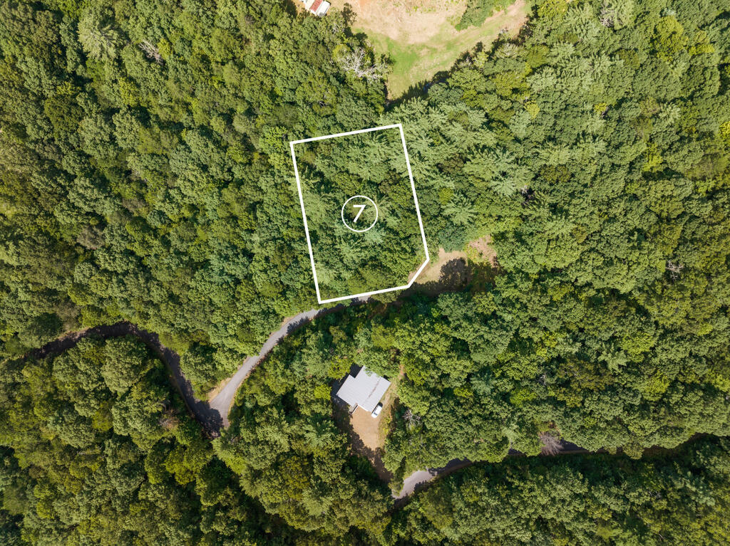 Lot 7 Timber Lane Court Turtletown TN 37391