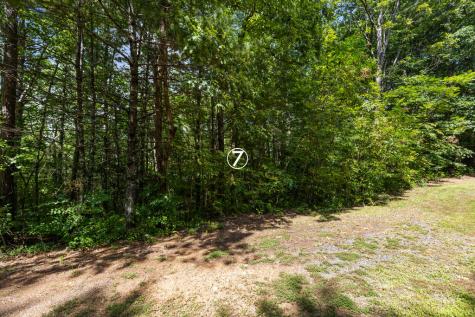 Lot 7 Timber Lane Court Turtletown TN 37391
