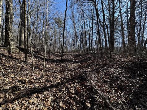 57 St Andrews Way Ellijay GA 30536