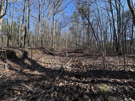 57 St Andrews Way Ellijay GA 30536