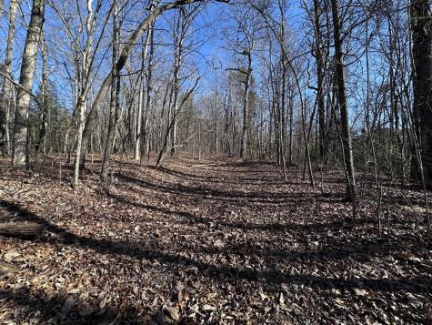 57 St Andrews Way Ellijay GA 30536