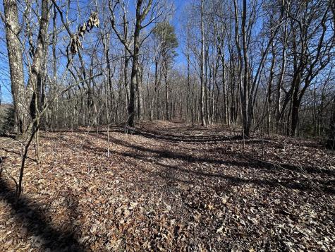 57 St Andrews Way Ellijay GA 30536