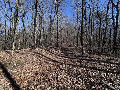 57 St Andrews Way Ellijay GA 30536