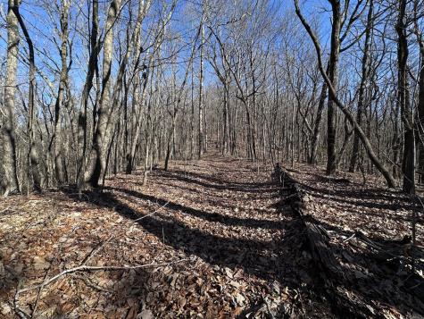 57 St Andrews Way Ellijay GA 30536