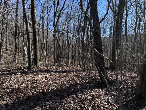 57 St Andrews Way Ellijay GA 30536