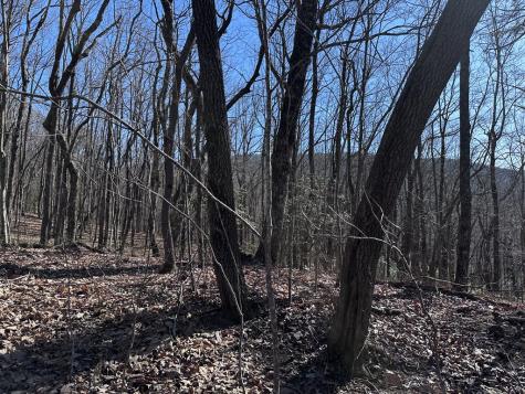 57 St Andrews Way Ellijay GA 30536