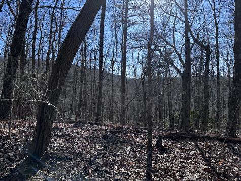 57 St Andrews Way Ellijay GA 30536