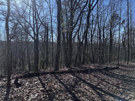 57 St Andrews Way Ellijay GA 30536