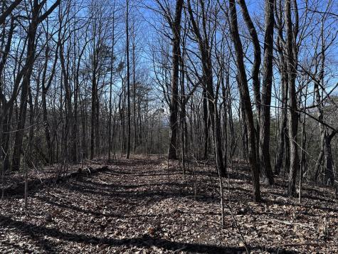 57 St Andrews Way Ellijay GA 30536