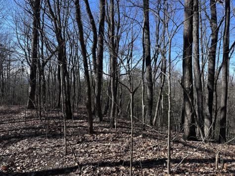 57 St Andrews Way Ellijay GA 30536