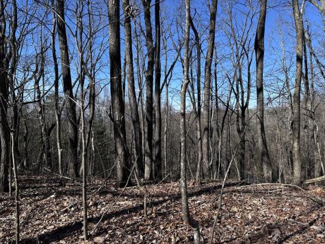 57 St Andrews Way Ellijay GA 30536