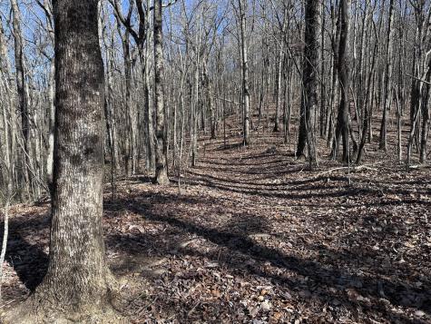 57 St Andrews Way Ellijay GA 30536