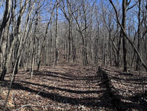 57 St Andrews Way Ellijay GA 30536