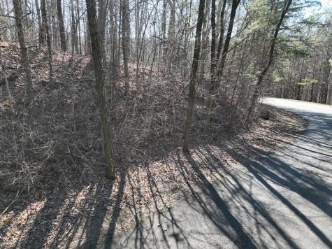 57 St Andrews Way Ellijay GA 30536