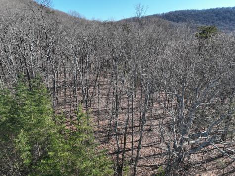 57 St Andrews Way Ellijay GA 30536