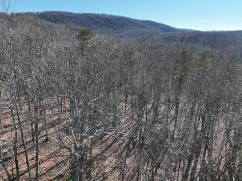 57 St Andrews Way Ellijay GA 30536