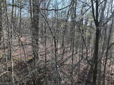 57 St Andrews Way Ellijay GA 30536